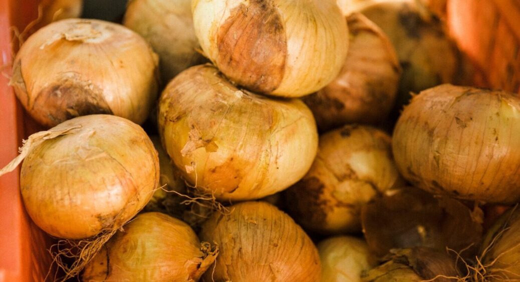 Цибуля лежатиме місяцями, не в’янутиме та не гнитиме: 5 порад для тривалого зберігання 