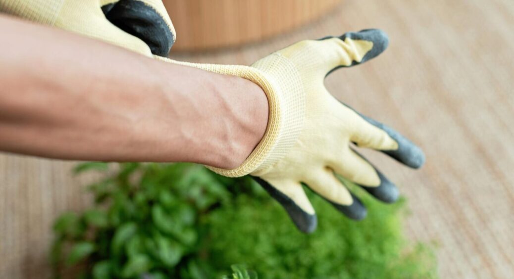 Вони точно знають: що покласти в лунку при посадці томатів – 5 рецептів від одеських городників 