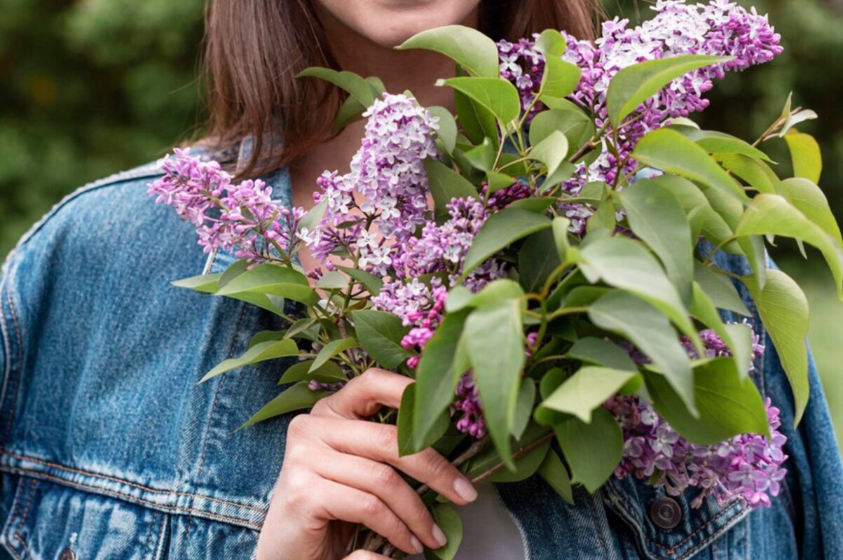 Садівники розповіли, чому в жодному разі не можна ламати бузок