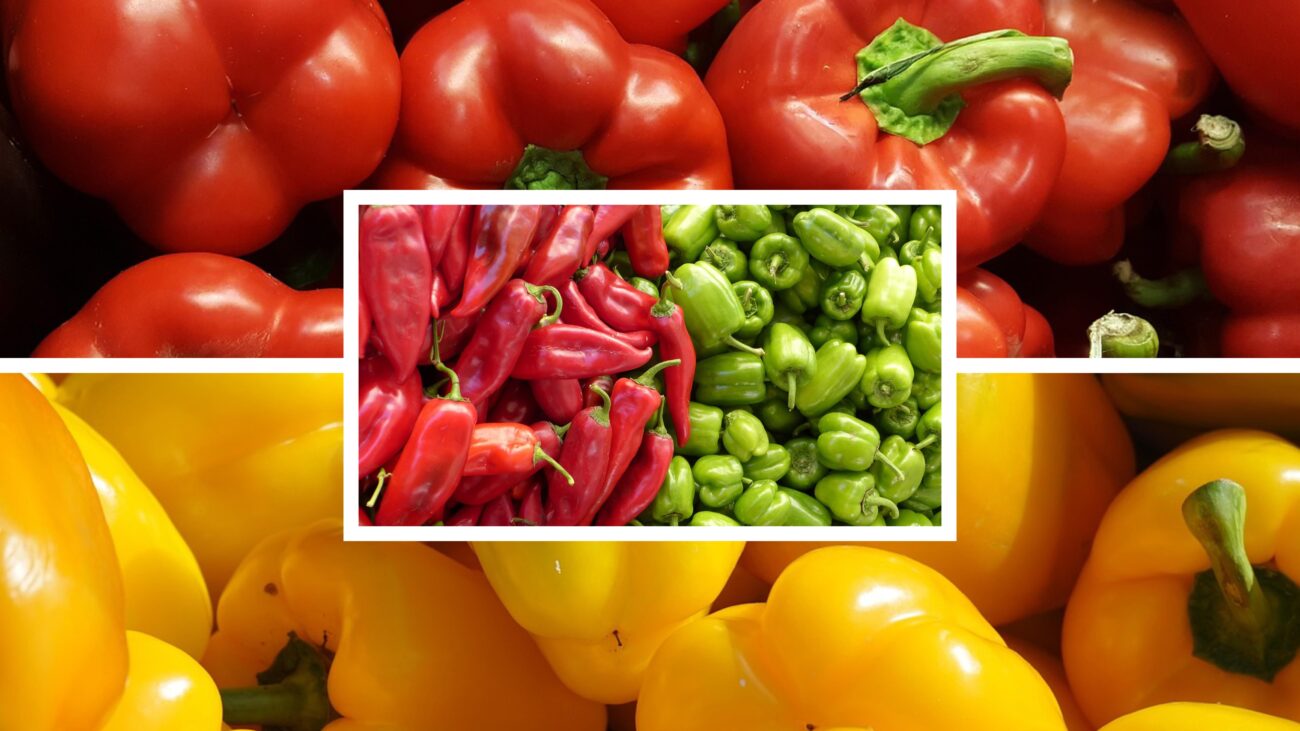 Дачники розсекретили найкращу підгодівлю для перців на 2025-й