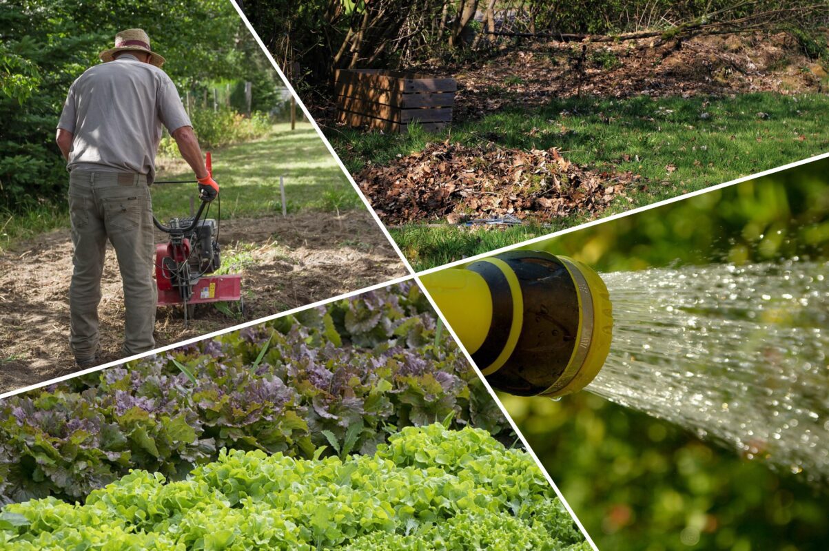 Дачники назвали пʼять важливих справ, які треба зробити в червні 2025