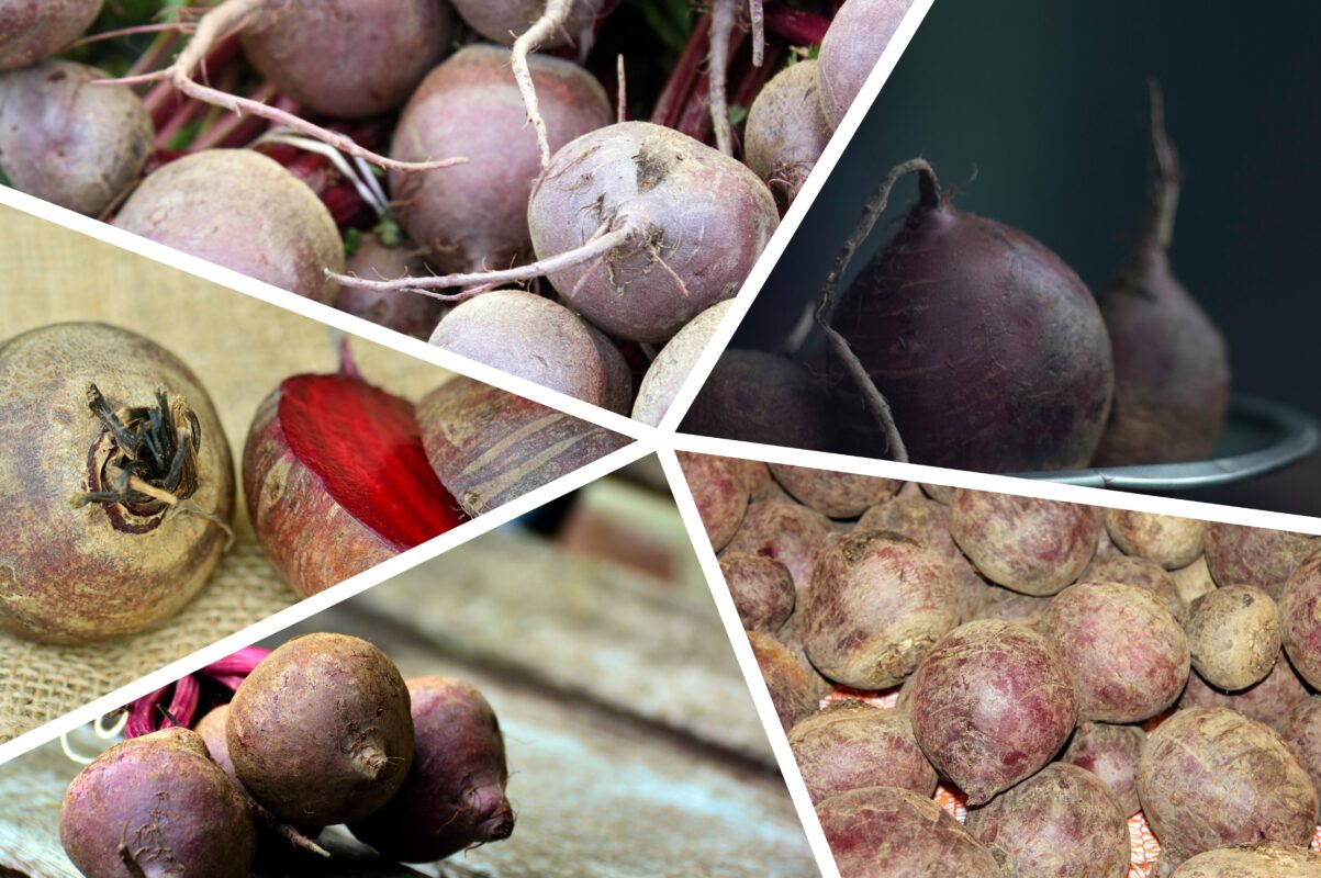 Агроном розповів, як виростити великі буряки