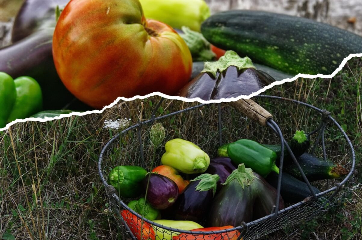 Городники розповіли, чи можна використовувати попіл після шашлику на городі