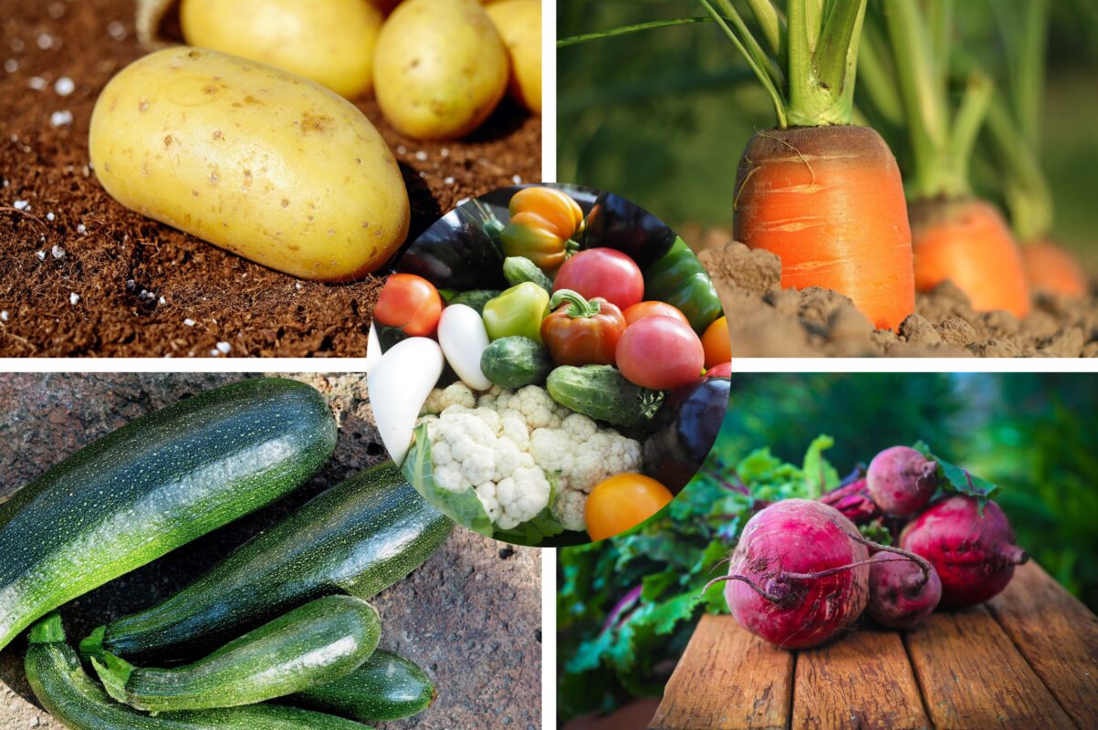 Городники розповіли, які культури ще можна посадити в травні 2025