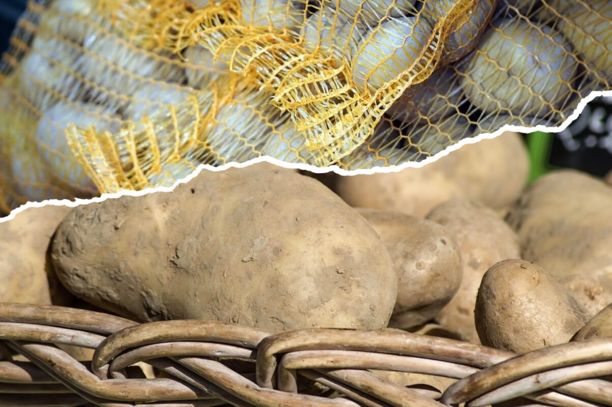 Дачники розсекретили помилки при вирощуванні картоплі, які знижують її врожай