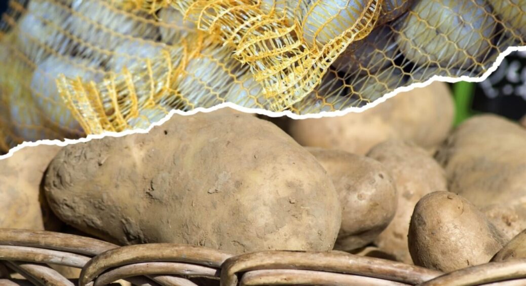 6 помилок, які знижують врожай картоплі: що не можна робити під час її вирощування – 6 правил 