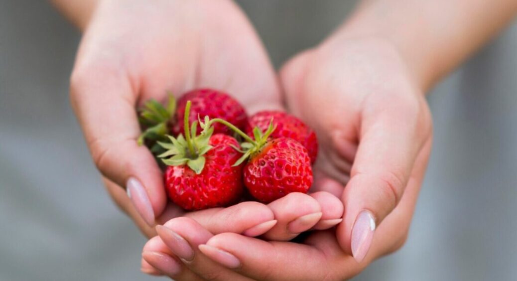 5 сортів полуниці, які витримають і дощ, і спеку – агрономи на них моляться: чемпіони 2025 року 