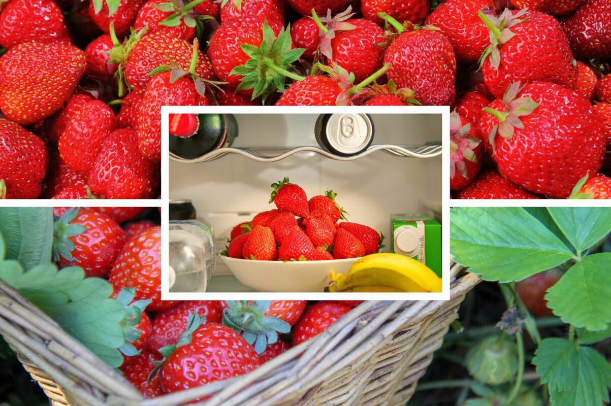Експерти розповіли, як зберігати полуницю свіжою дуже довго