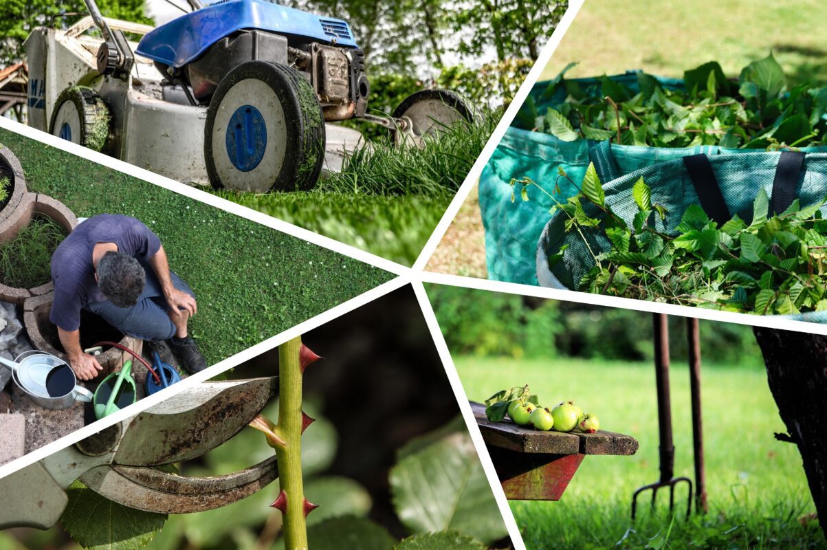 Дачники розсекретили список справ, які потрібно зробити на городі в червні 2025