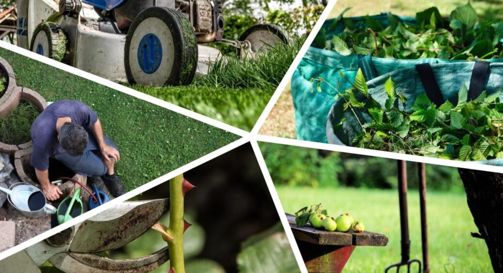 Червень близько – 5 справ, які треба зробити на городі в 2025: врожай буде щедрим і рекордним 