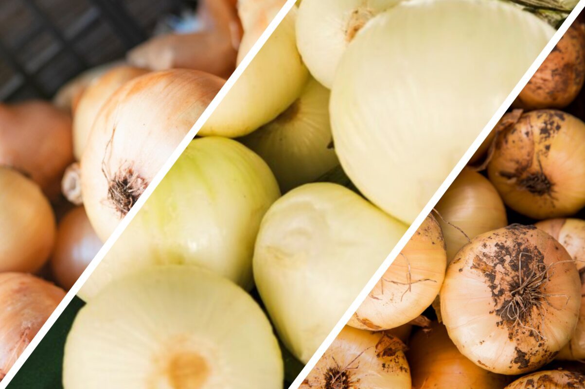 Експерт розповів, як зберегти цибулю до наступного року