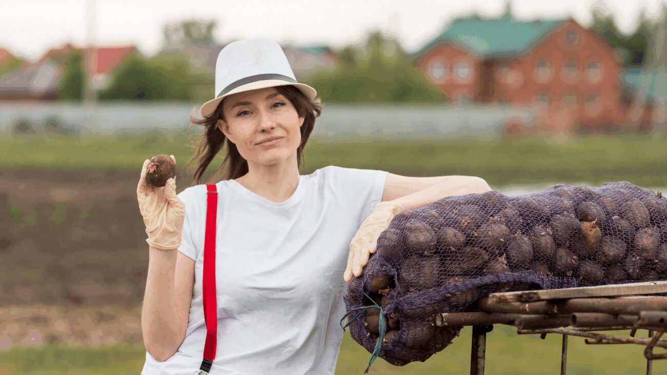Садівники розповіли, які добрива слід внести на грядки до морозів