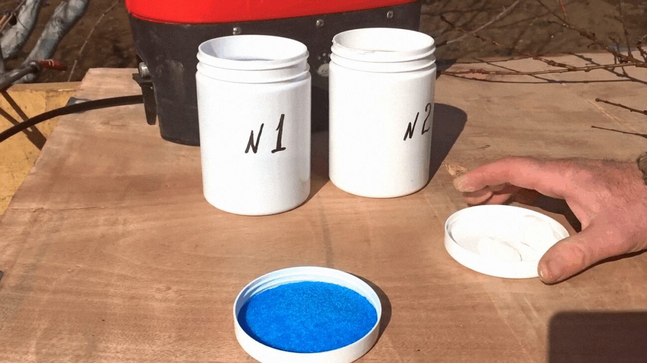 Садівники назвали 4 засоби для обробки персиків, черешень, слив і вишень