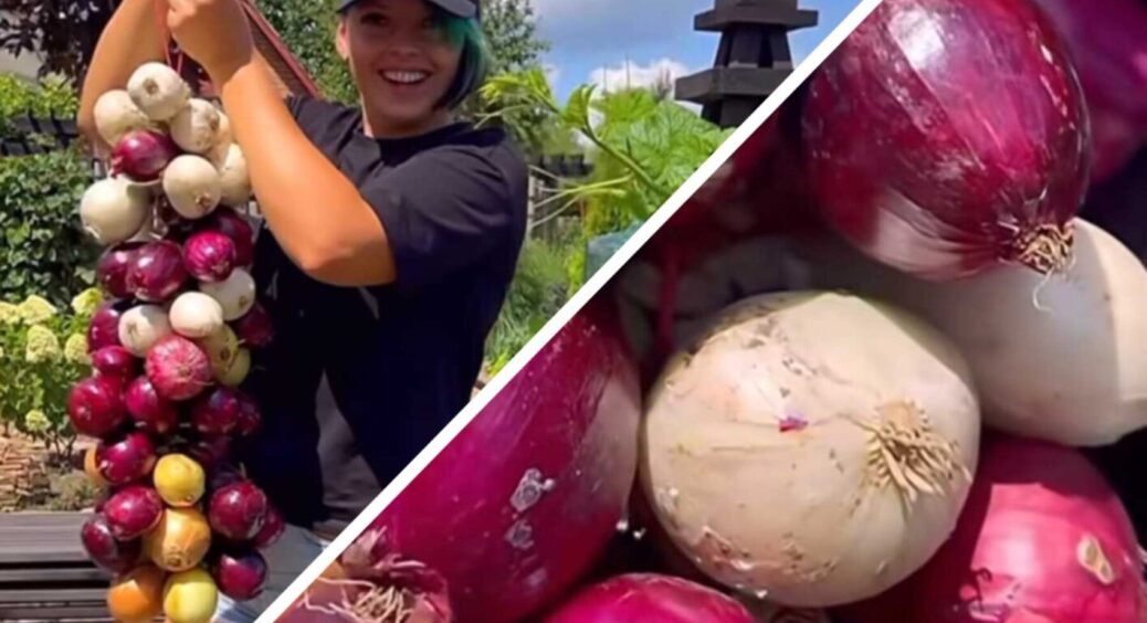 Зв’язуємо 10 кг цибулі за 5 хвилин: садівниця показала, як правильно плести цей овоч у косу 