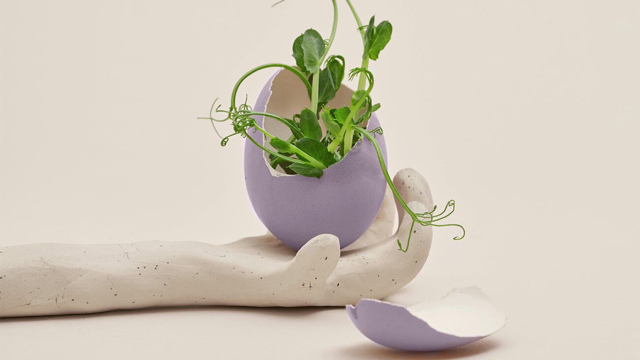 Не викидайте яєчну шкаралупу