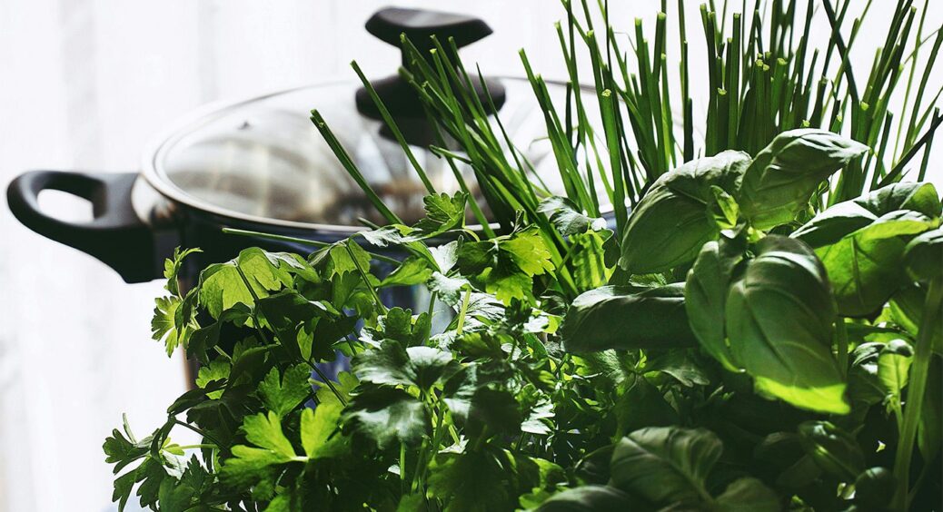 Тепер мені не потрібна магазинна зелень: вирощую кріп та петрушку на кухонному підвіконні 