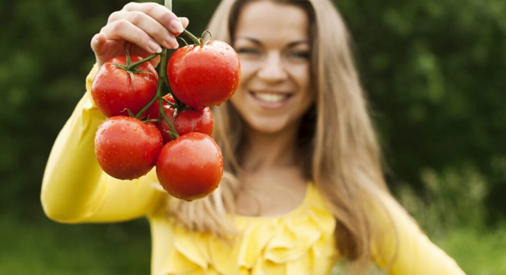 Ось чим на Одещині обприскують помідори, щоб зібрати на 150% більше врожаю з куща 
