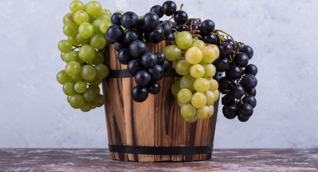 Підв’язка винограду 2025: як “обійняти” лозу без тугих вузлів та отримати подвійний урожай 