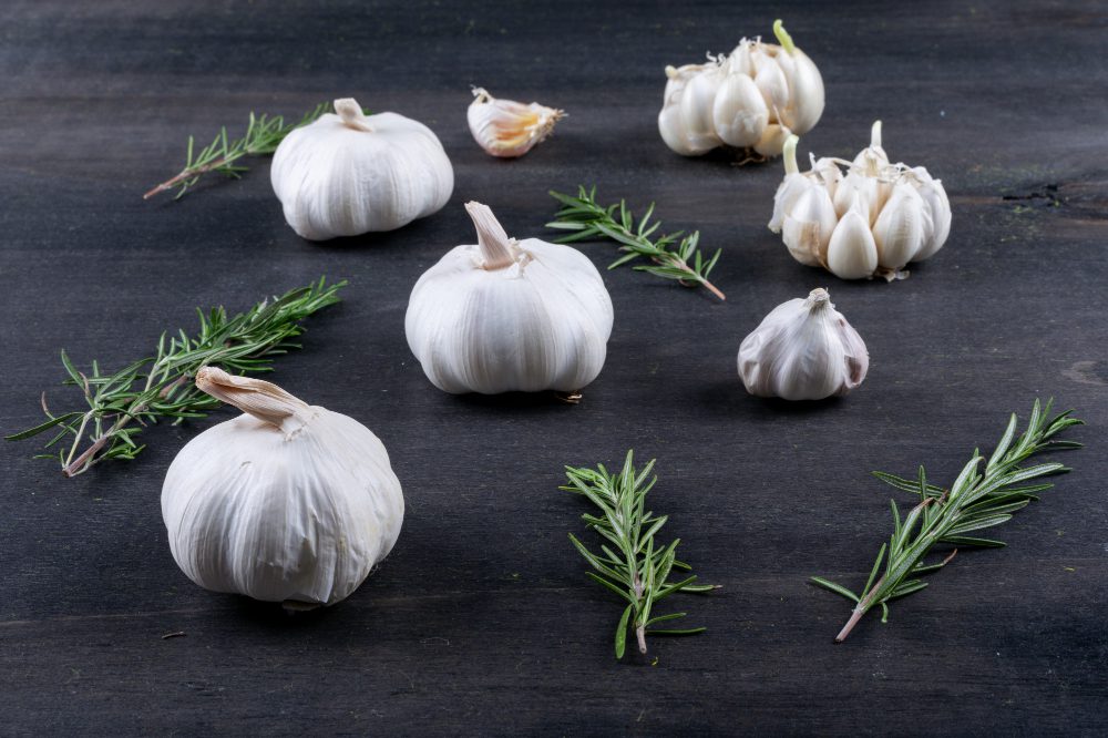 Садівники розповіли, чим підживити часник до 15 червня