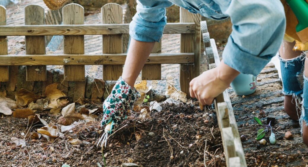 До грудневих морозів замульчуйте грядки 1 матеріалом – у 2026 культури “стартують” швидше 