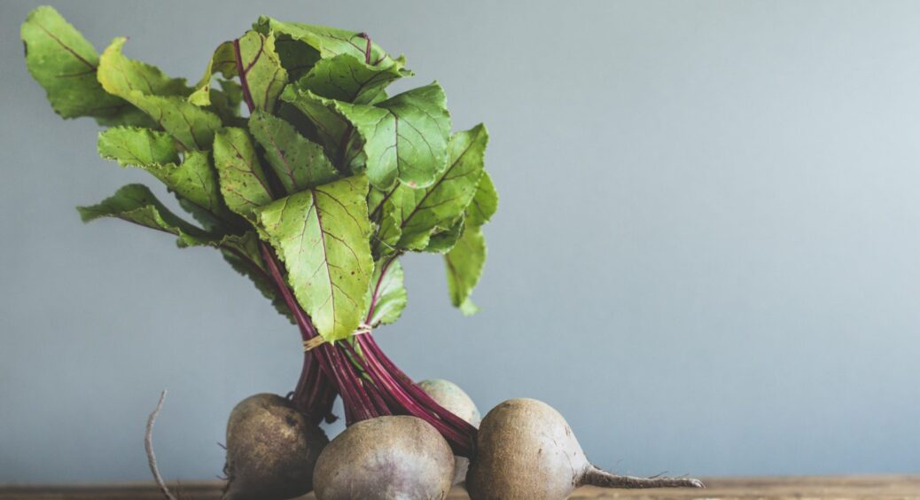 Кіровоградські городники не ризикують з буряками: садять лише ці 2 сорти – витримують посуху 