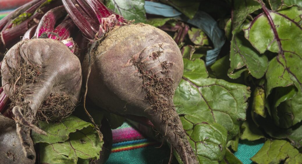 Не викидайте бадилля з буряків: 1 рецепт добрива для грядок, яке можна з нього приготувати 