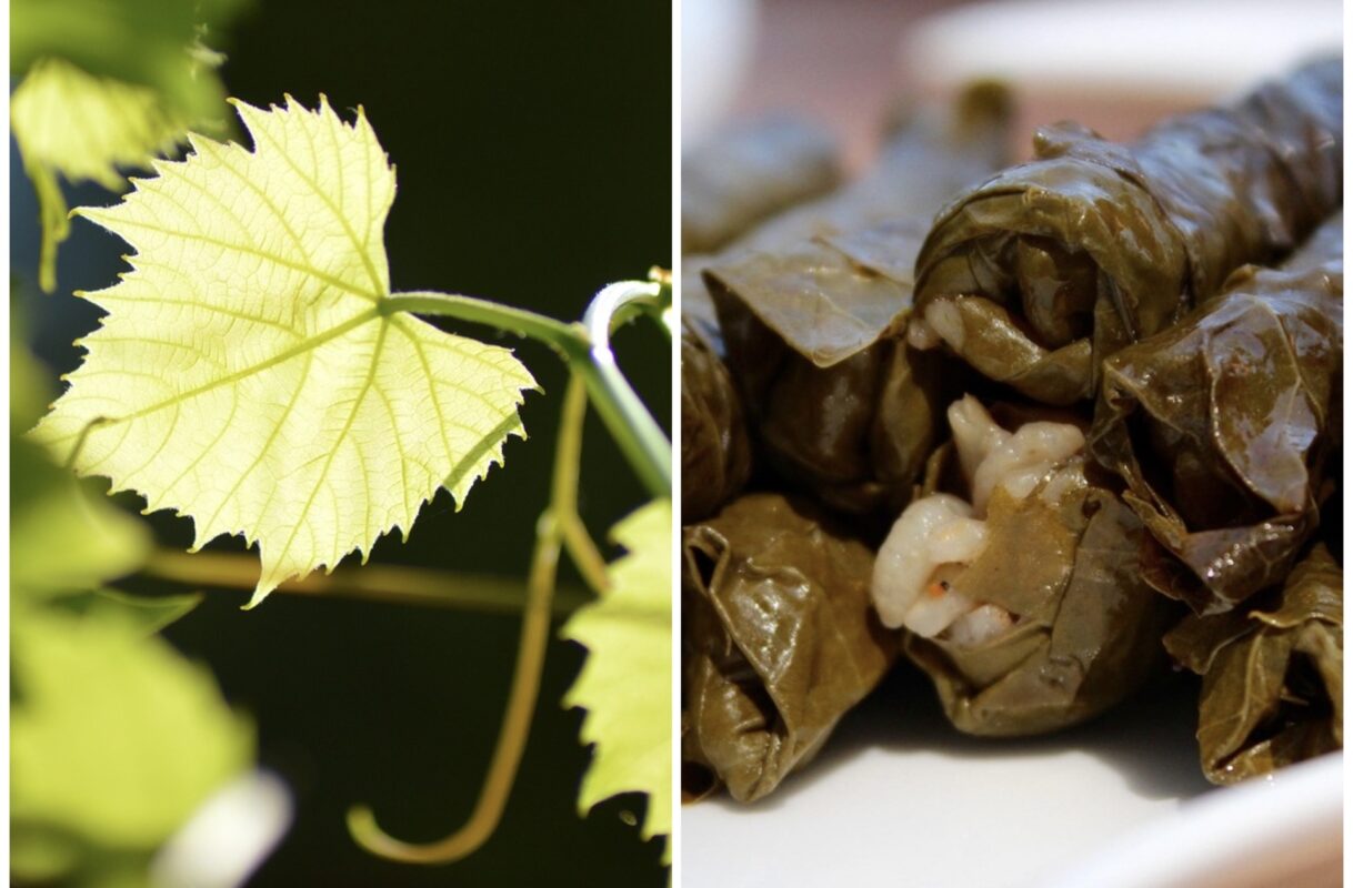 Турецька господиня розповіла, як правильно зберігати молоде виноградне листя 