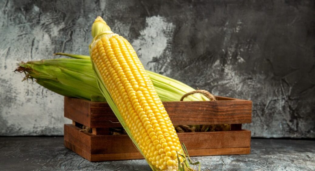 Якщо на кукурудзі оселилася попелиця: рушайте у ванну за милом – цей засіб спрацює на 100% 