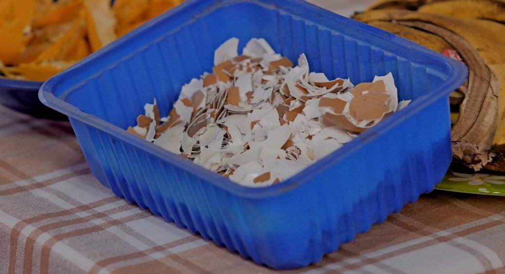Ці 5 продуктів не викидаємо: вони сміття на кухні, але золото на грядці – і добрива не потрібні 