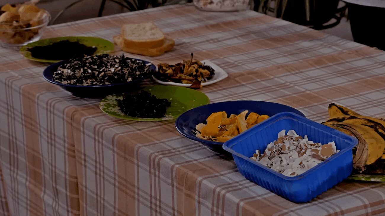 Майже всі харчові відходи можна використати, як добриво на городі