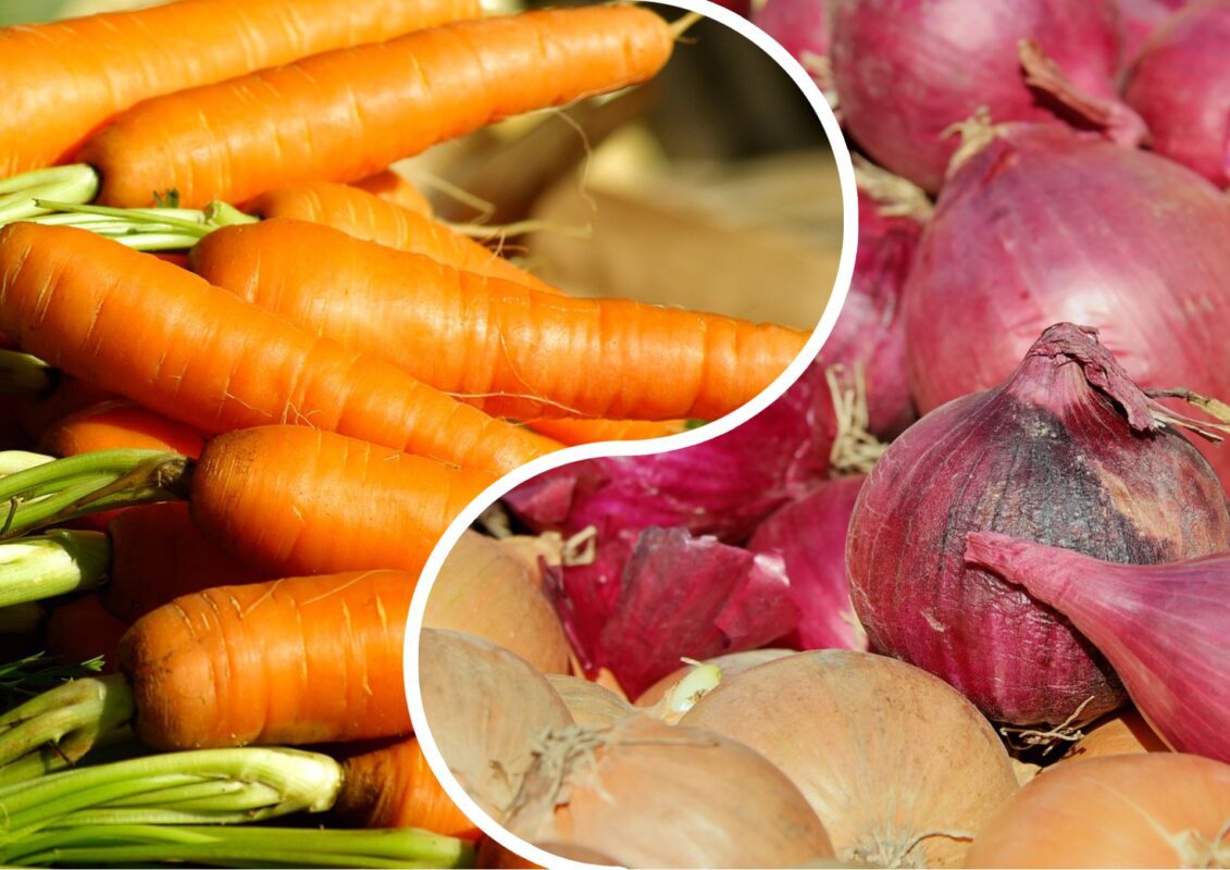 Садівник розповів, чому варто висаджувати моркву та цибулю поруч