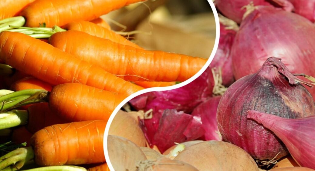 Цей розчин з йодом і нашатирем на Закарпатті називають “гальмом для мух”: обов’язково у 2025-му 