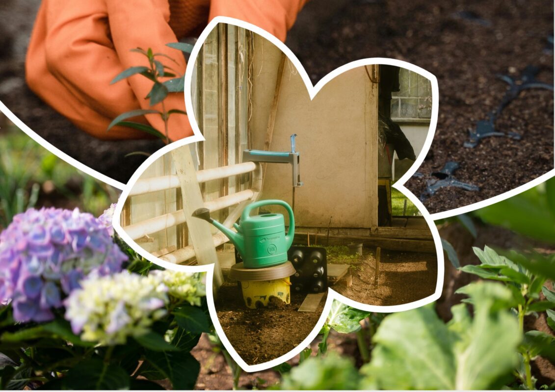 Садівник пояснив, яким ферментованим чаєм варто удобрити город