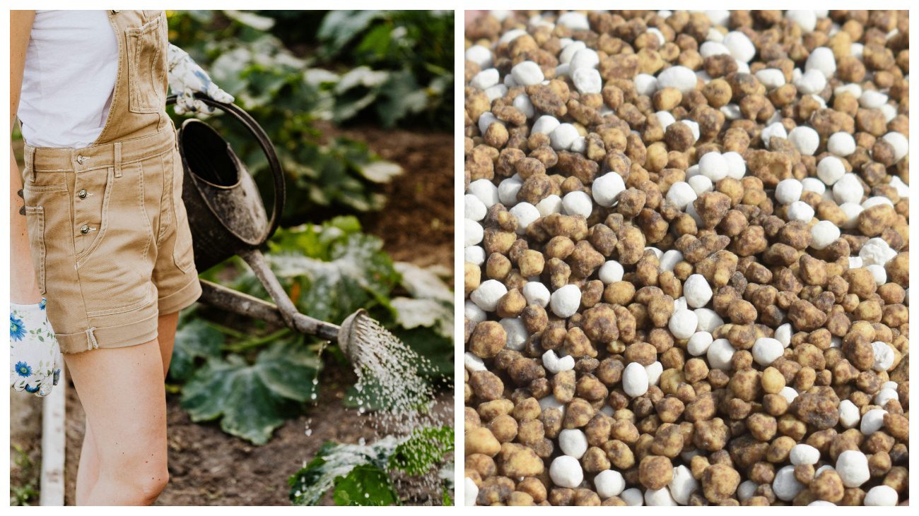 Садівники пояснили, яке добриво містить ідеальні пропорції та складники 