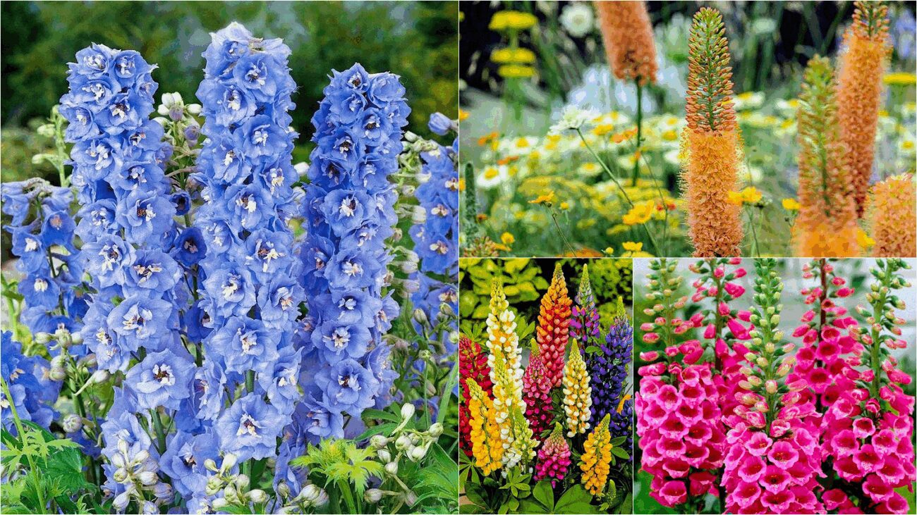 Експерт назвав 5 квітів, які дуже легко вирощувати вдома