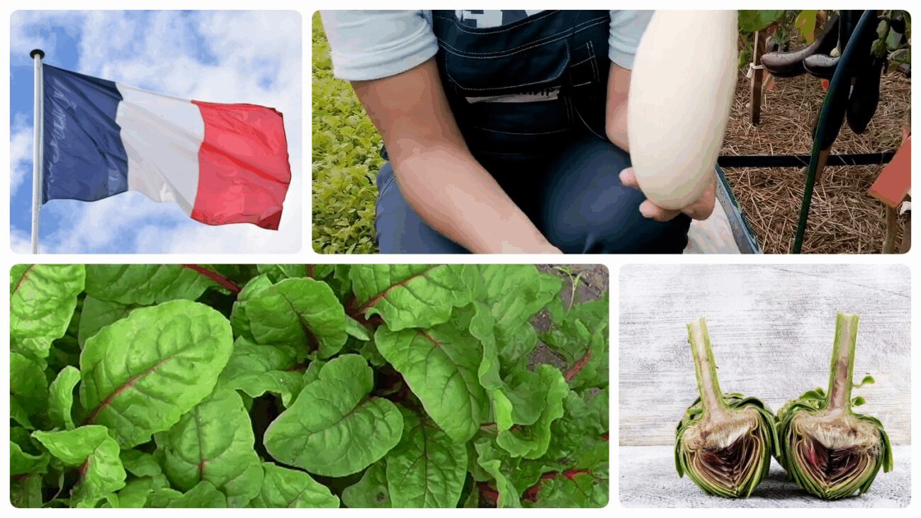 Українці назвали незвичні овочі, які вирощують на грядках у Парижі