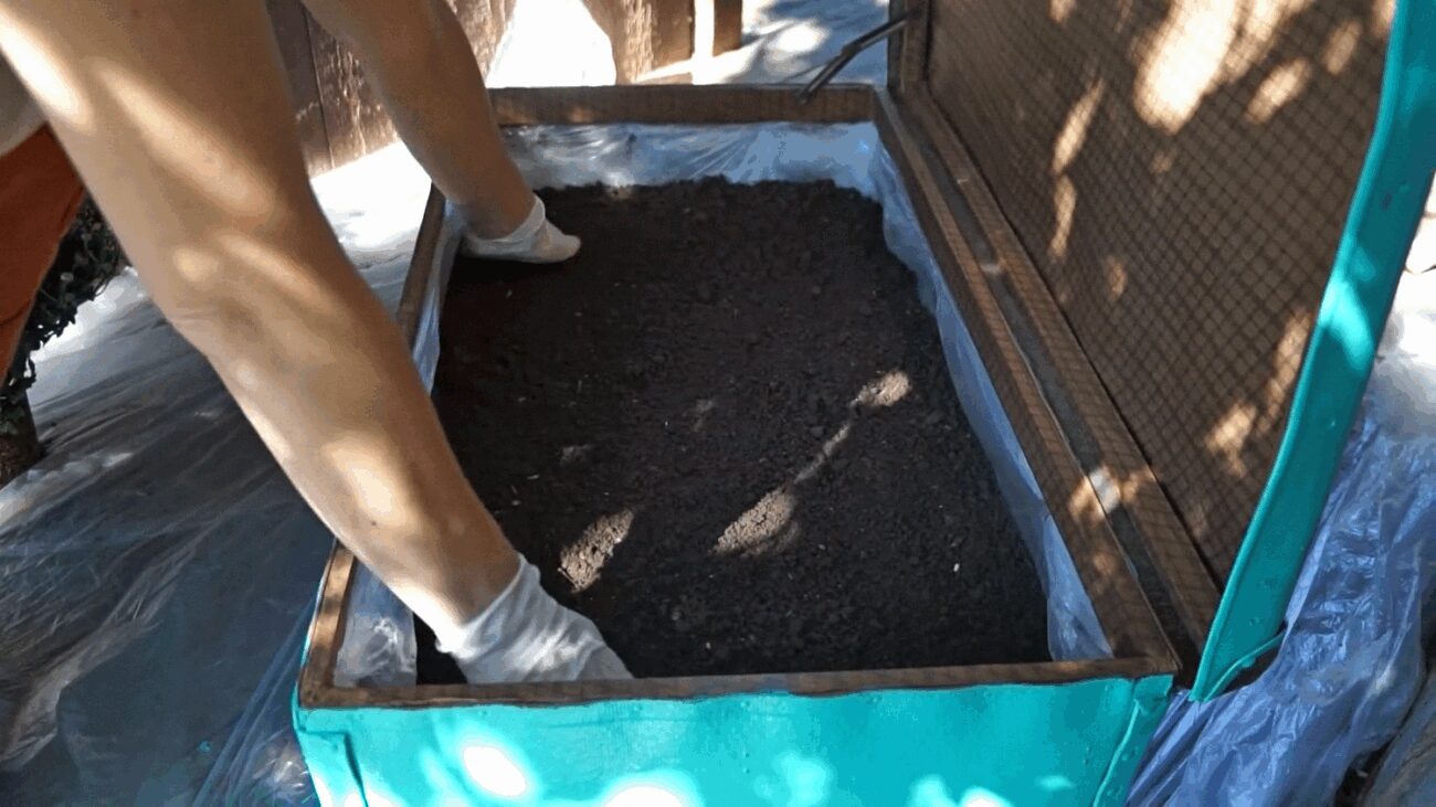 Українець пояснив, навіщо привіз до Риму український чорнозем у валізі