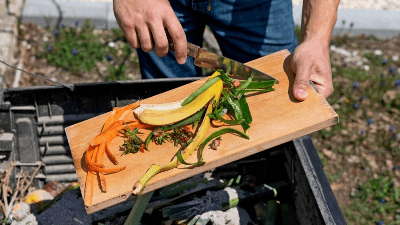 Городники пояснили, чим підживлювати ґрунт, щоб виростити гарну зелень