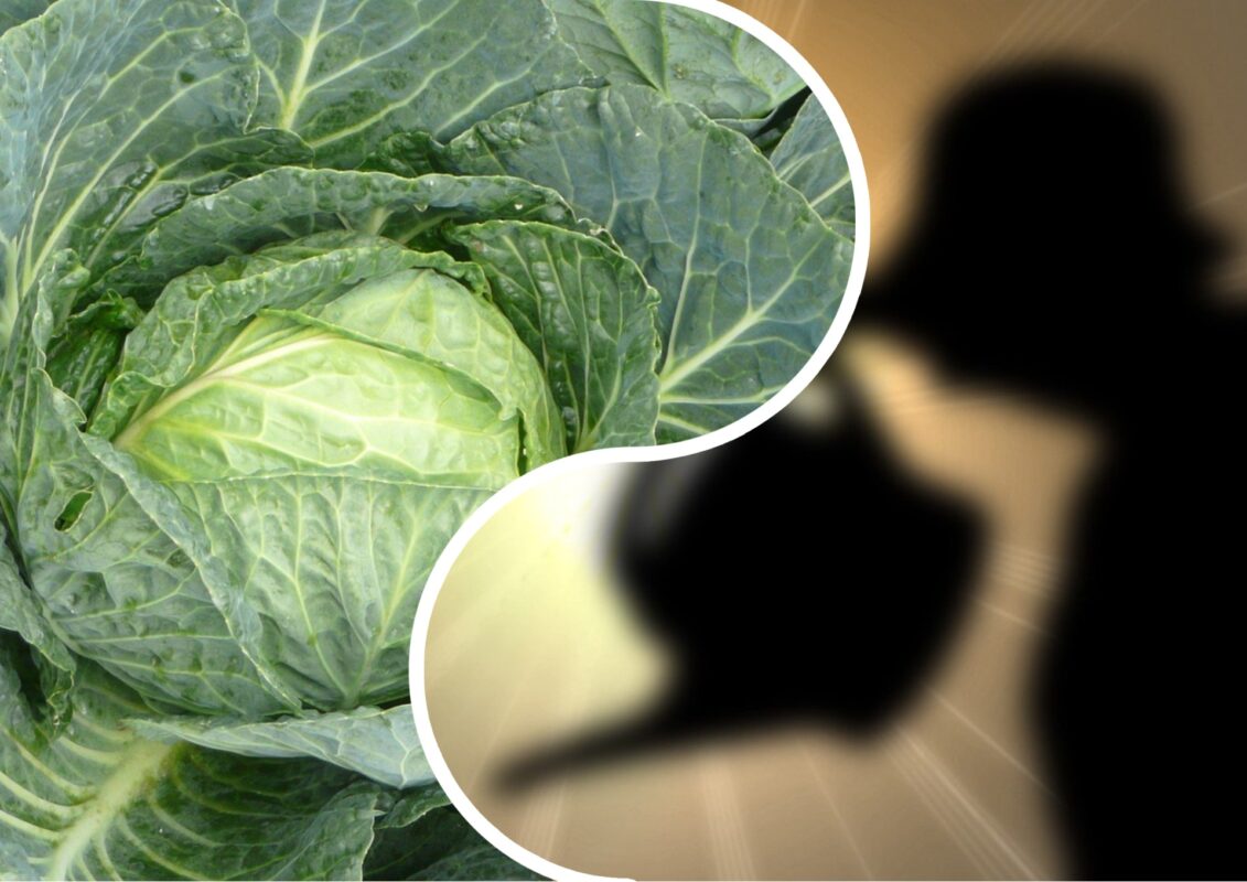 Садівники пояснили, яким настоєм на Полтавщині поливають капусту в спеку