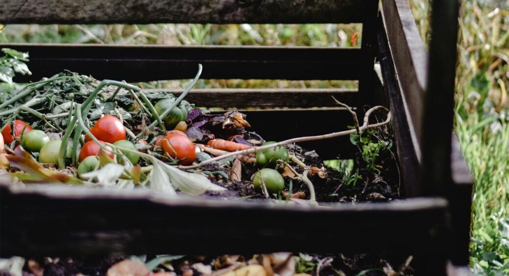 Не кладіть ЦЕ у жодному разі! З’являться не тільки щури – 3 “ні” для гарного компосту 