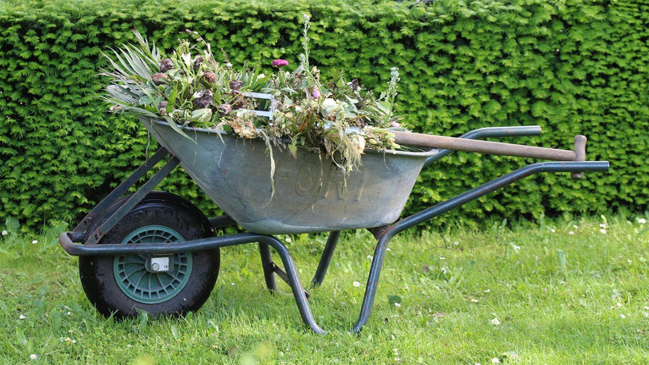 Городники розповіли, яких помилок слід уникати при приготуванні компосту