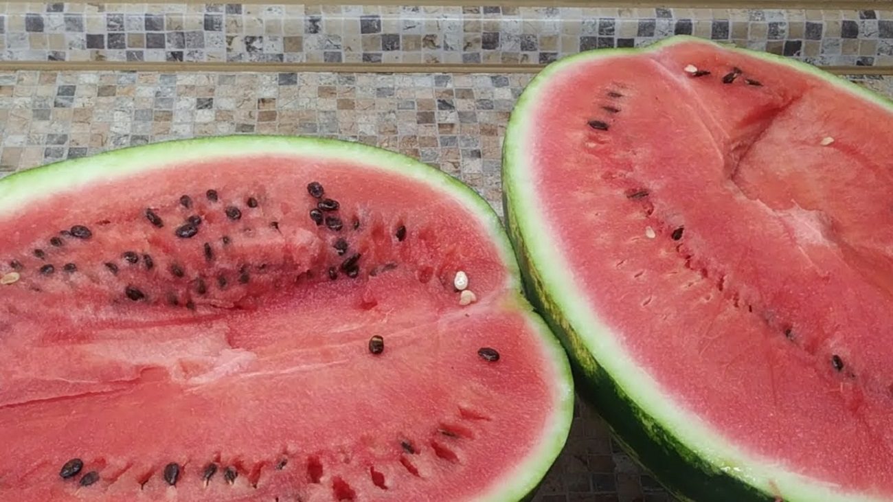 Аграрії розповіли, чим найкраще підживити кавуни і дині, щоб був гарний врожай