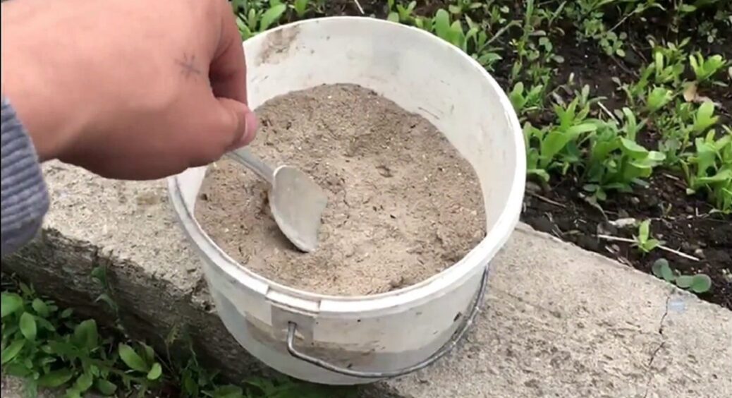 Схаменіться, бо врожаю не побачите, як своїх вух: 5 грядок, які НЕ можна підгодовувати золою 