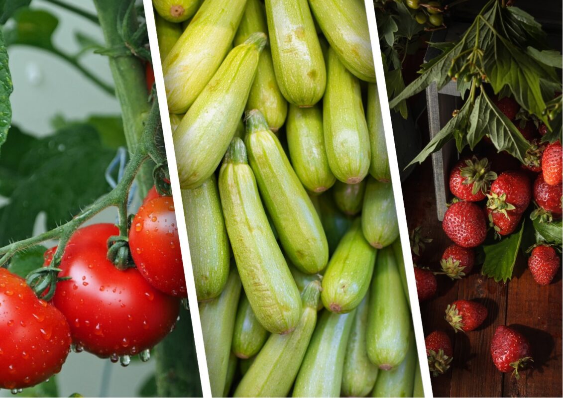 Які 7 продуктів варто додати в свій літній раціон