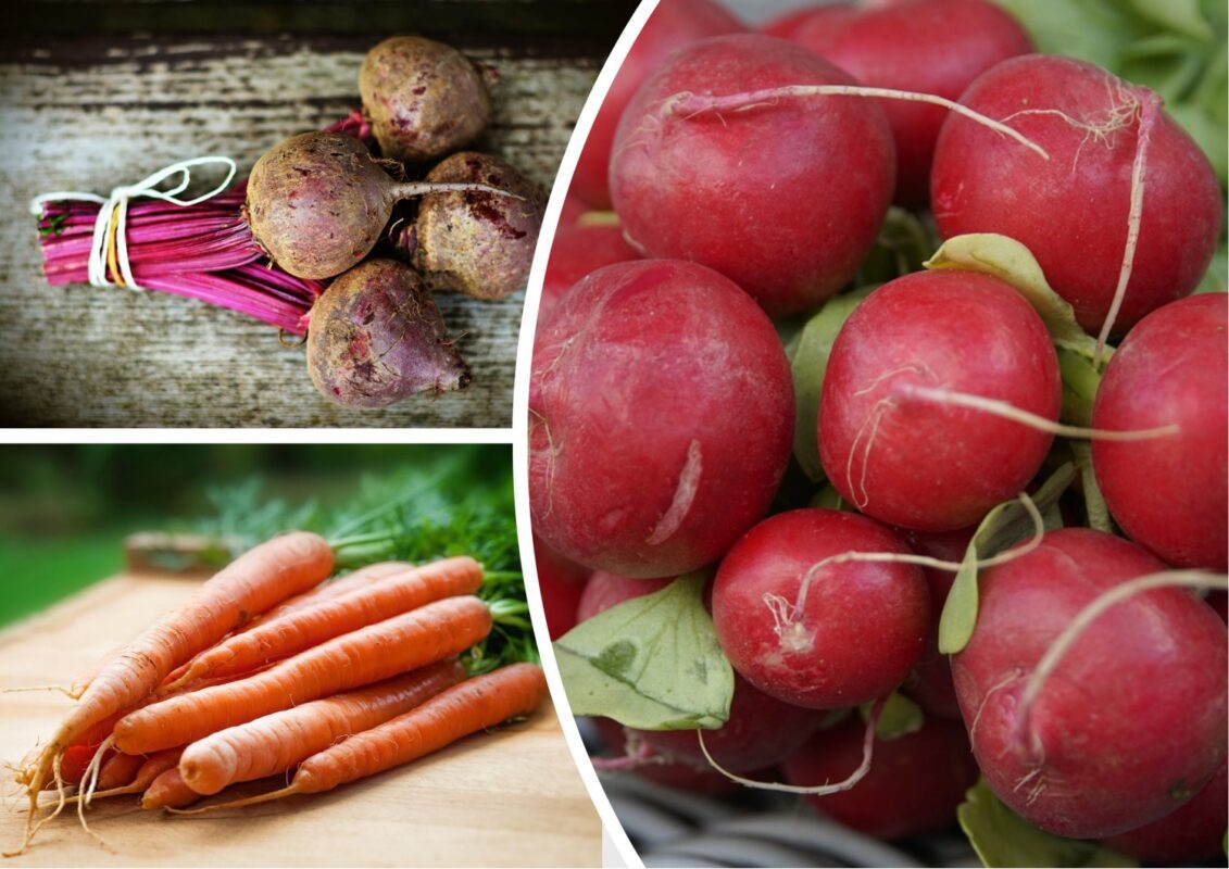 Агрономи розповіли, які овочі можна посіяти до липня 2025