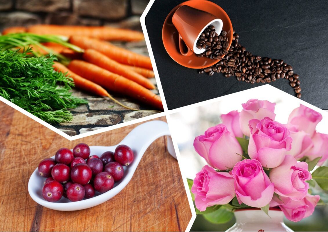 Підживлення з кавової гущі для рослин та її користь