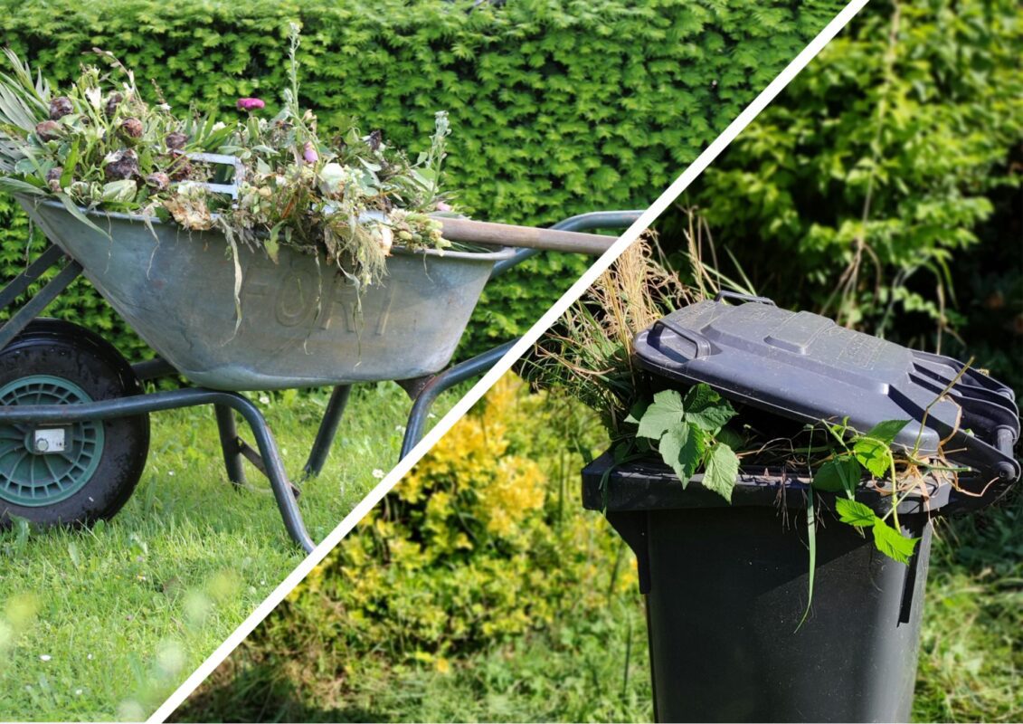 Садівники пояснили, яким повинен бути план роботі на городі в червні