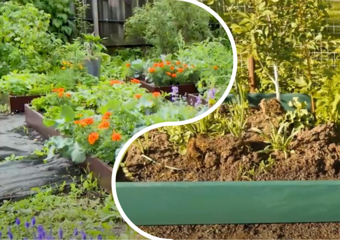 Експерт розповів, чим обробити кислий ґрунт на городі 