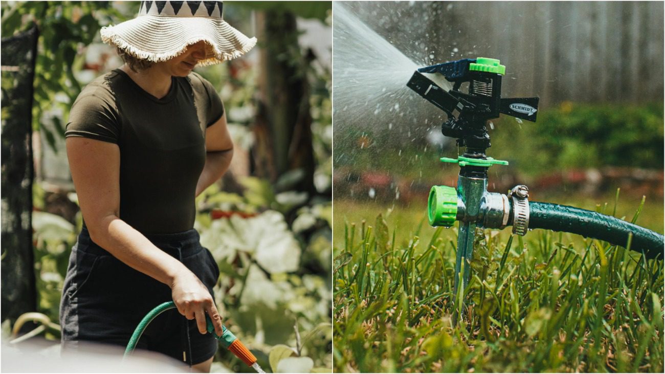 Городники розповіли, на що звернути увагу при виборі шланга для поливу