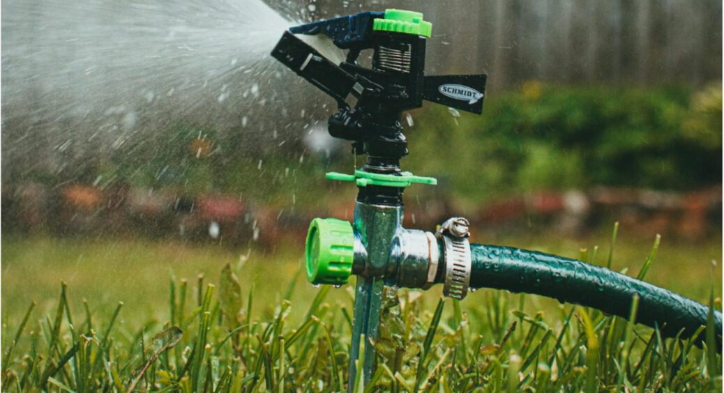 Рослини щодня у воді, але все одно сохнуть від спраги: 1 парадокс перезволоженого ґрунту 